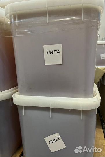 Липовый мед только оптом свежий