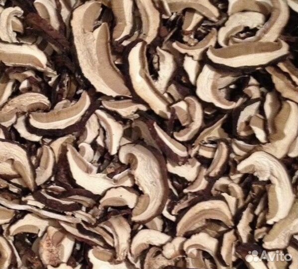 Лесные белые грибы