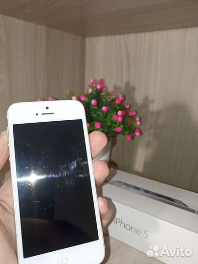 iPhone 5, 16 ГБ