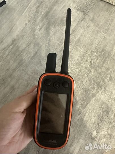 Навигатор garmin alpha 100