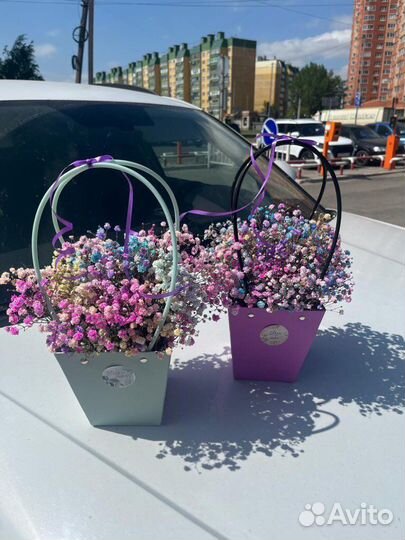 Гипсофила в корзине