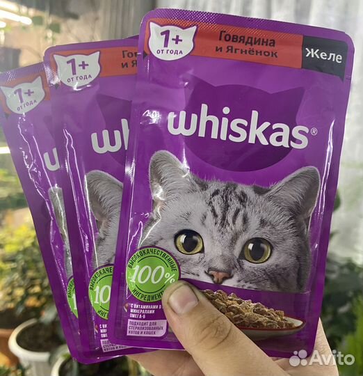 Корм для кошек