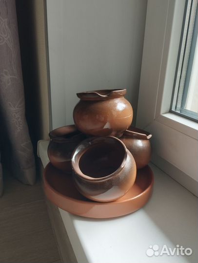 Кактусы и кактусник