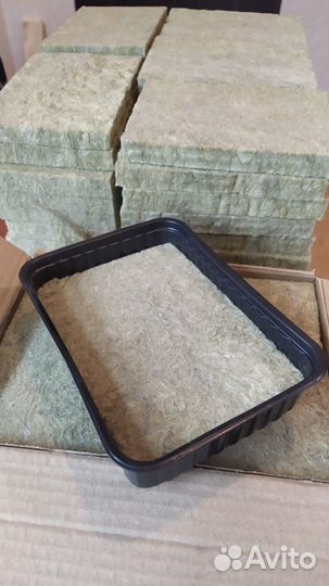 Агровата для микрозелени