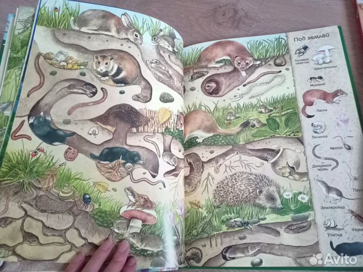 Детские книги виммельбух