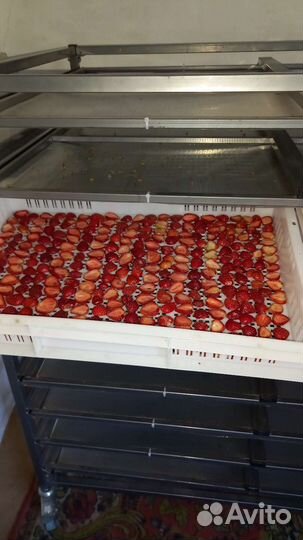 Клубника сушеная домашняя,яблоки сушёные