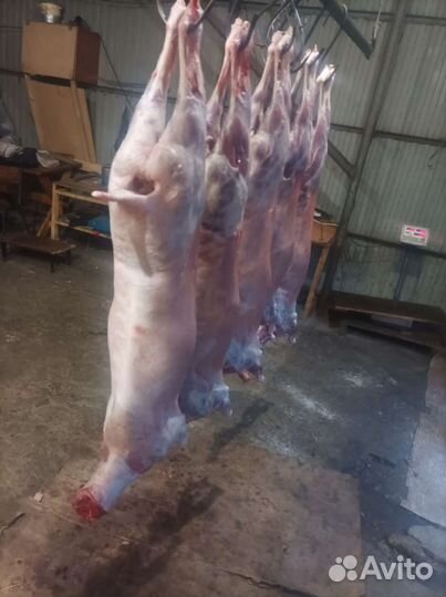 Баранина тушками