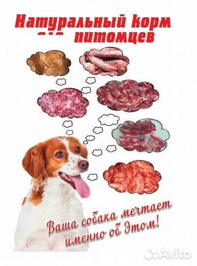 Мясо для собак