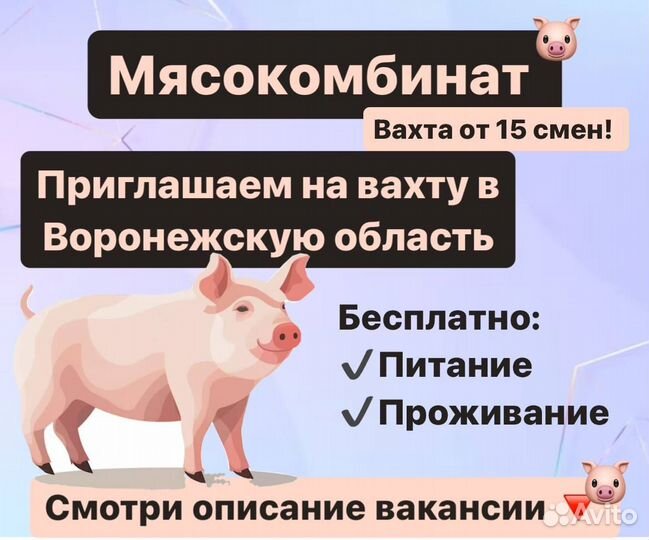 Упаковщик на мясокомбинат в Воронежской области