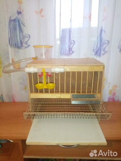 Детская перепелиная ферма