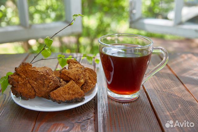 Чага кусковая, молотая, дроблёная и чёрная