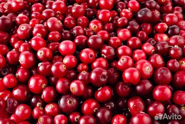 Клюква свежая
