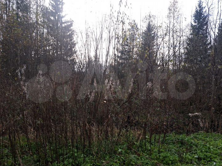 Участок 6 сот. (СНТ, ДНП)
