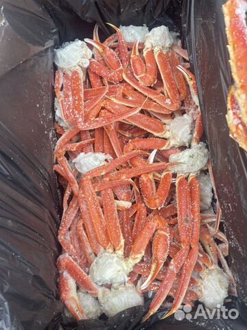 Краб стригун средне крупный