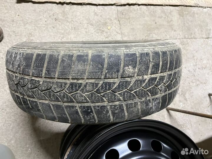 Tigar Winter 1 195/65 R15 91T