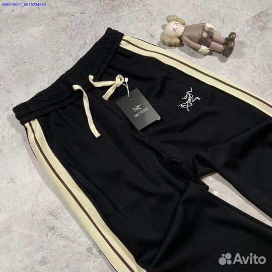 Штаны Arcteryx y2k