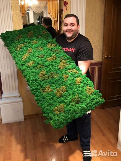 Стабилизированный мох ягель, опт и розница