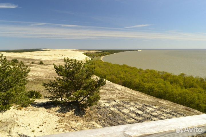 Экскурсия — Калининград — Топ-места Куршской косы