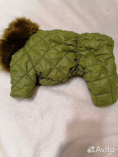 Костюм зимний на йорка