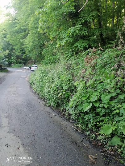 Участок 15,5 сот. (ИЖС)