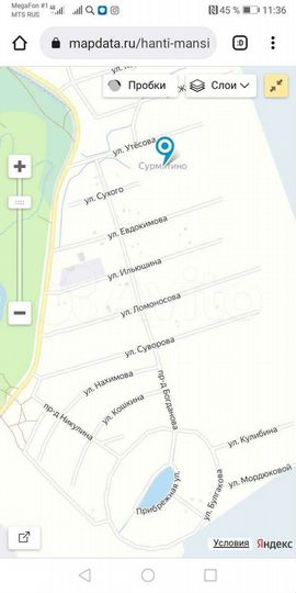 Участок 10 сот. (СНТ, ДНП)