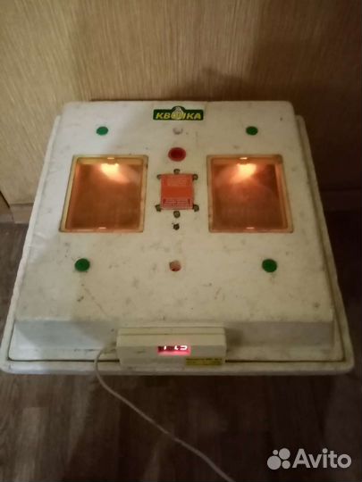 Куры, молодки, цыплята,инкубатор, бройлер, утята