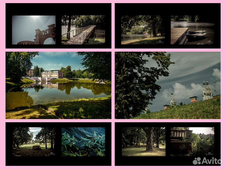 Видеограф на свадьбу, видеооператор