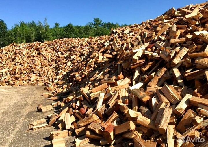 Дрова в СПБ