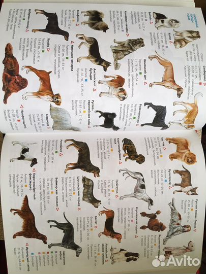 Энциклопедия(новая) для мальчиков