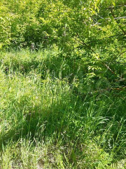 Участок 15 сот. (ИЖС)