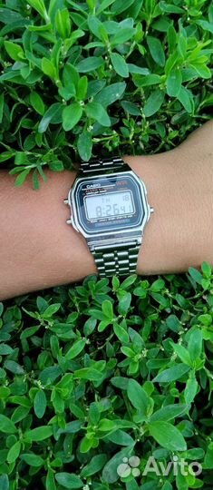 Casio