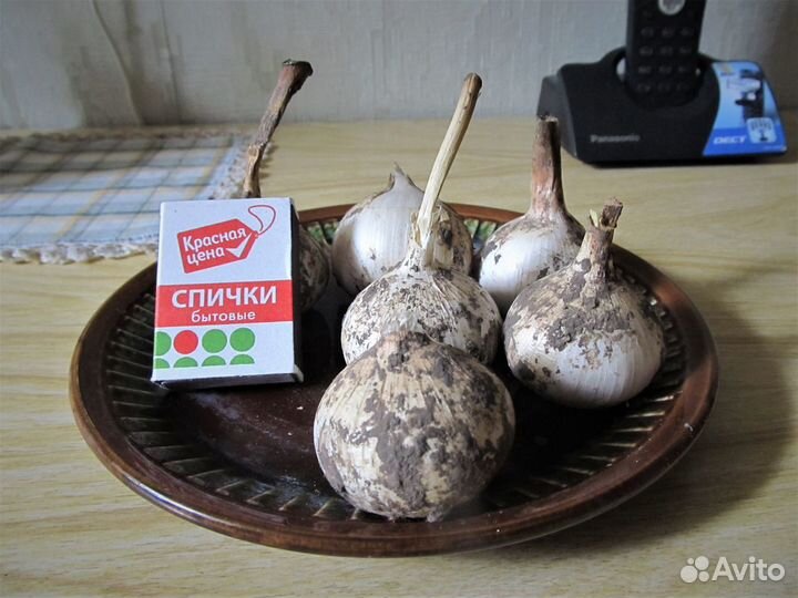 Излишки луковичных первоцветов