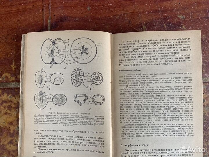 Практикум по плодоводству книга 1978 год