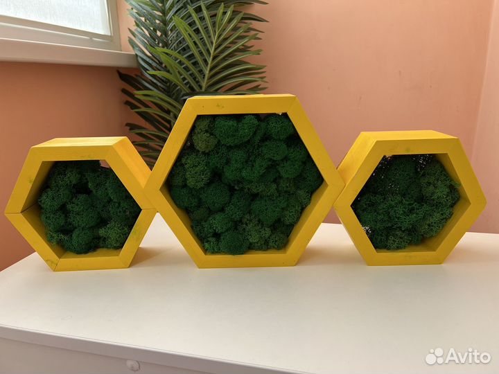 Стабилизированный мох панно