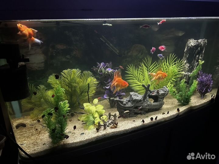 Аквариум