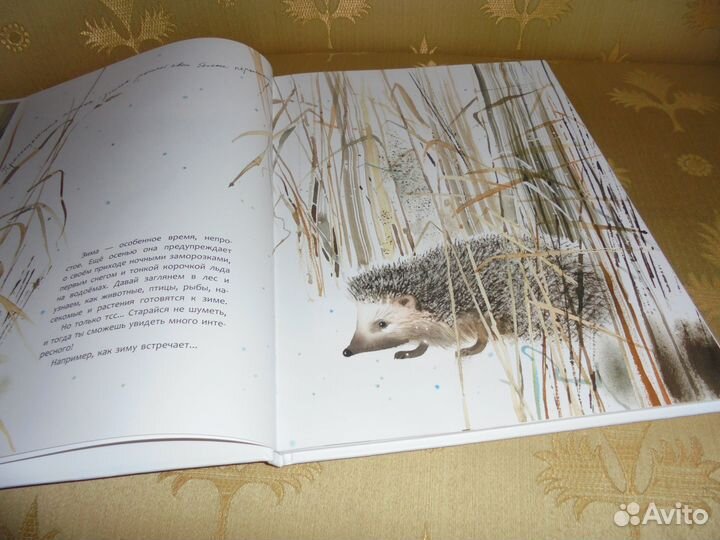 Здравствуй, зима Ольга Фадеева илл авт Речь 2022