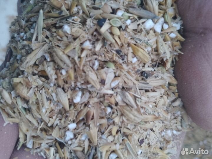 Дробленное зерно