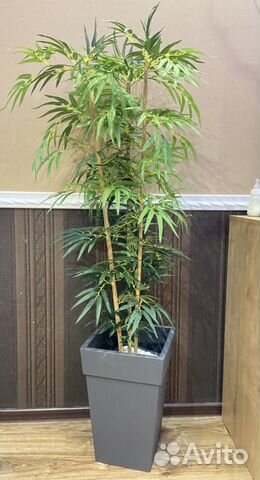 Искусственное растение, дерево Бамбук объявление продам
