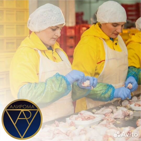 Упаковщик с проживанием и питанием