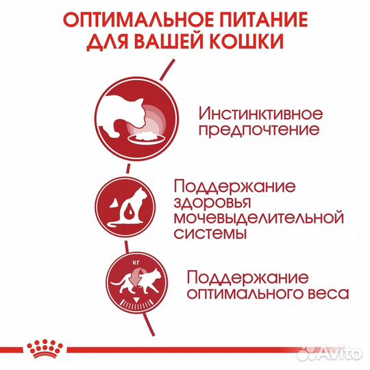 Royal Canin паучи для взрослых кошек, кусочки в же