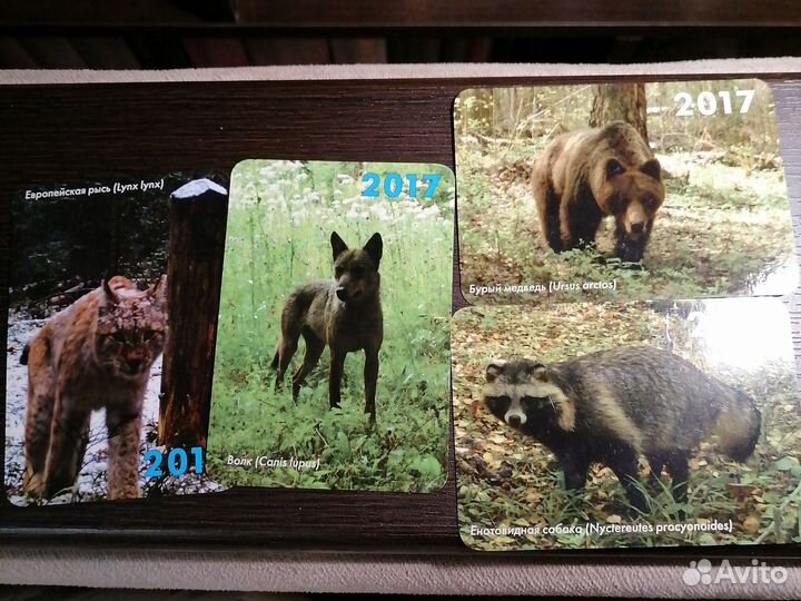 Карманные календарики