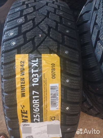 Delinte Winter WD42 225/60 R17 103T