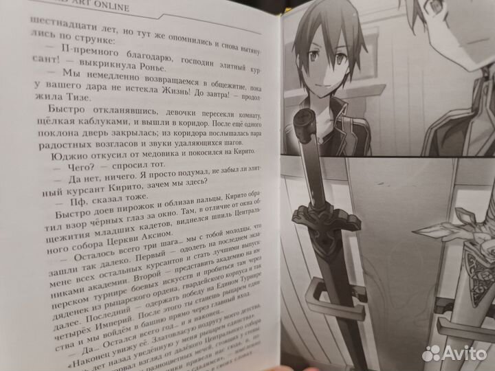 Мастер меча онлайн