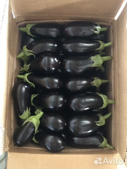 Продукты питания оптом