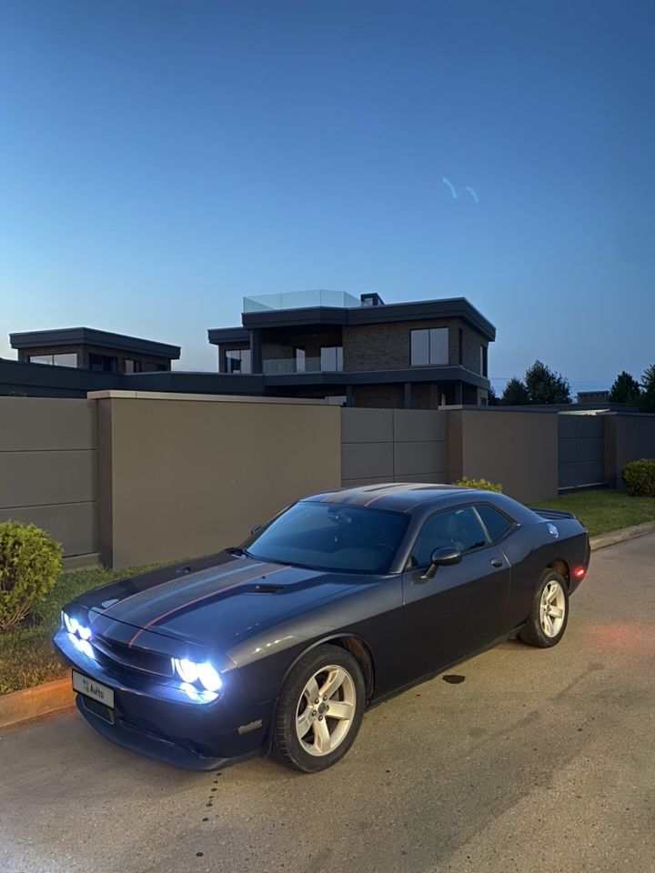 Dodge Challenger: фото владельца