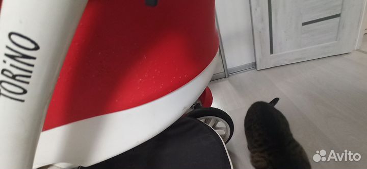 Коляска 3 в 1 bebetto torino