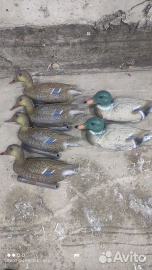 Профиля уток