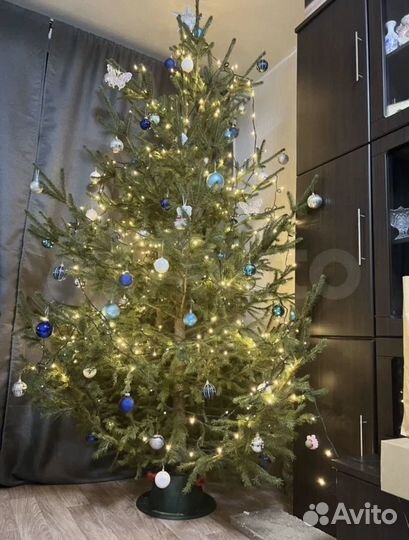 Ель. Отборная Новогодняя ель с доставкой