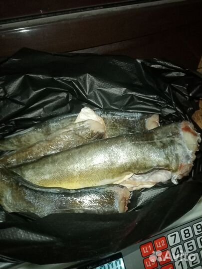 Рыба свежемороженая