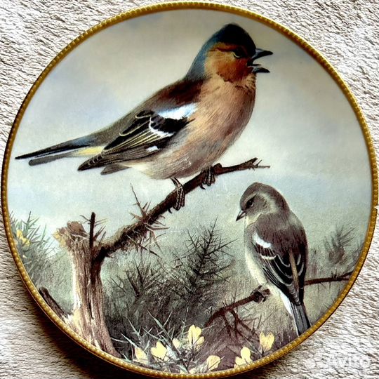 Davenport Птицы красивые тарелочки фарфор